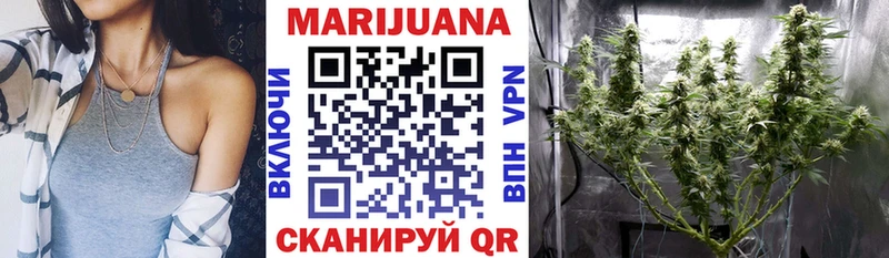 ссылка на мегу как зайти  Буинск  Марихуана сатива 